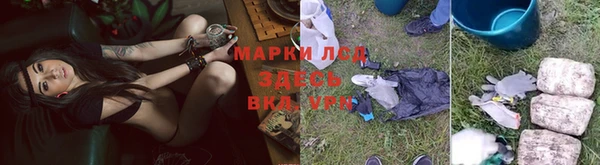 спиды Аркадак