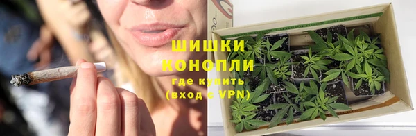 спиды Аркадак