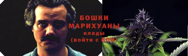 спиды Аркадак
